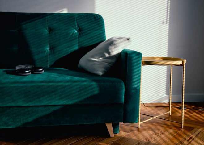 Tapczan w domu z kotem: tkaniny odporne na drapanie, ustawienie i zabezpieczenia