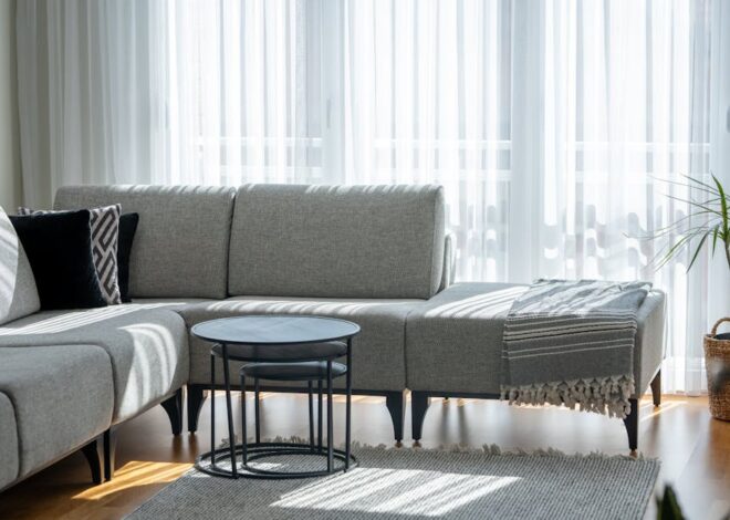 Tapczan w domu z psem: tkaniny, ustawienie i czyszczenie bez frustracji